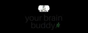Your Brain Buddy